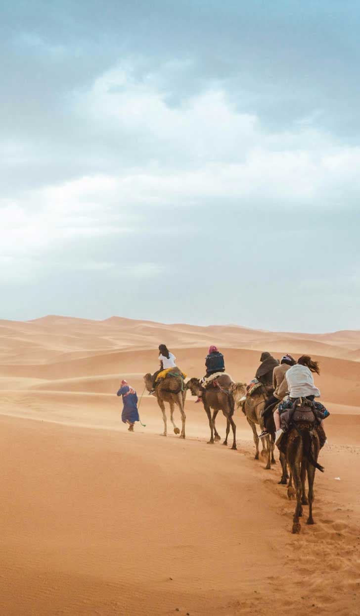Interview Wilson Chen-Morocco