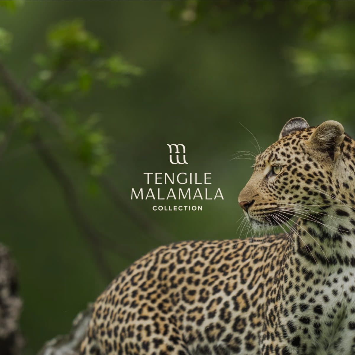 Tengile River Lodge