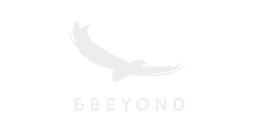 beyond-logo.png